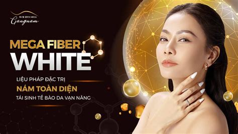 mega fiber giá bao nhiêu.